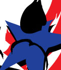 USA Judo Tournament Branding