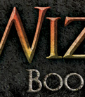 Wizard and Spy book cover art